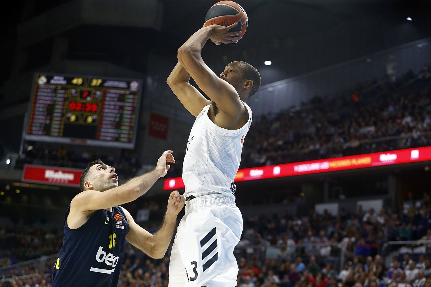 Web Euroliga
