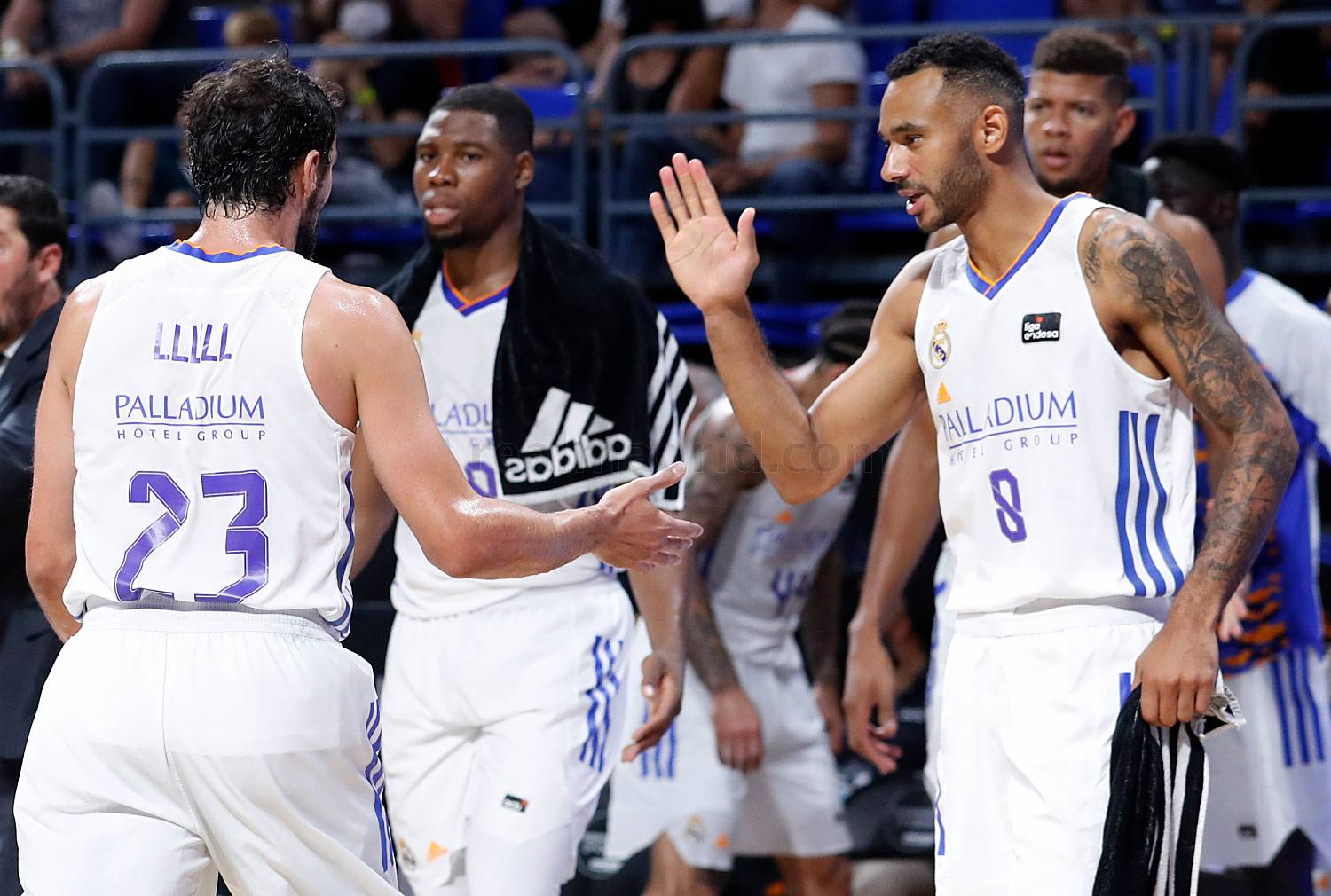 hanga-yabu-llull