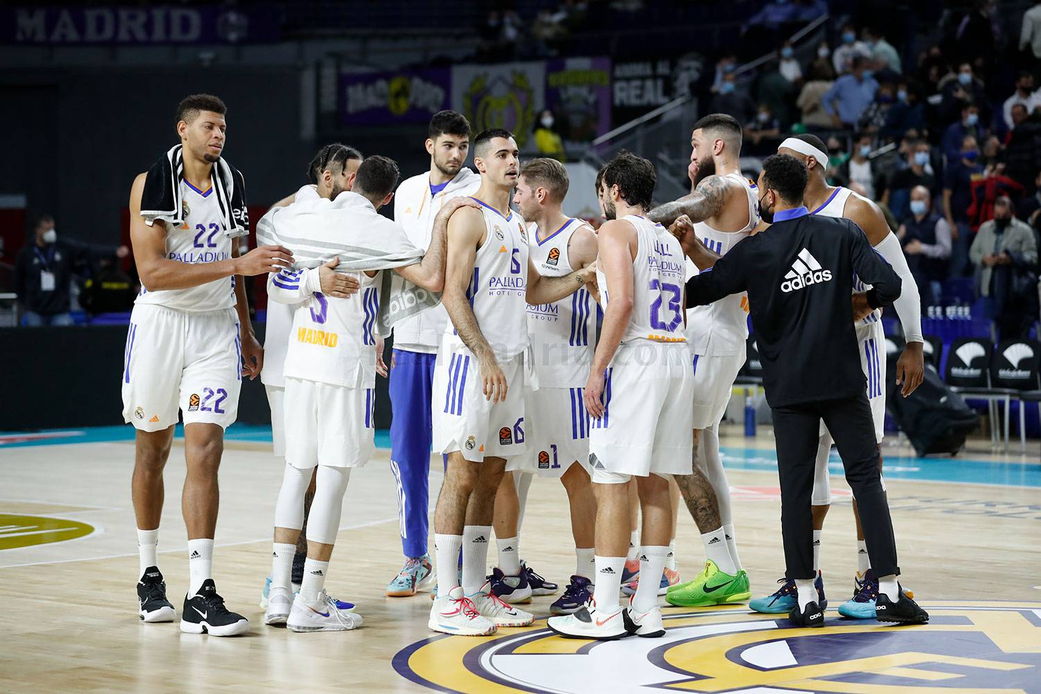 equipo