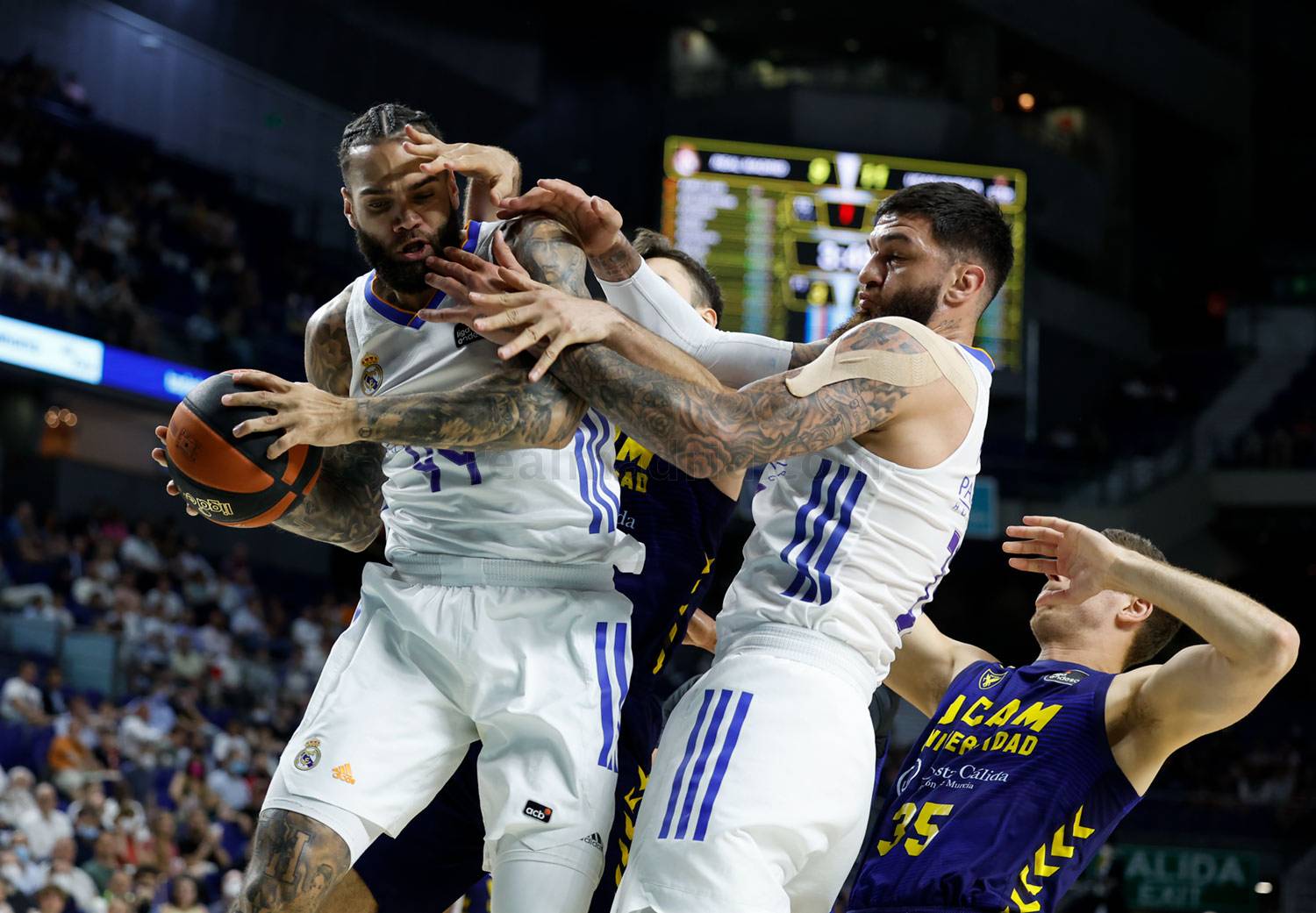 taylor poirier partido real madrid ucam murcia liga endesa 2021-22