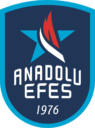 escudo anadolu efes estambul